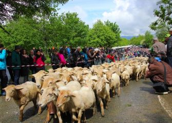 Pasillo a aralar