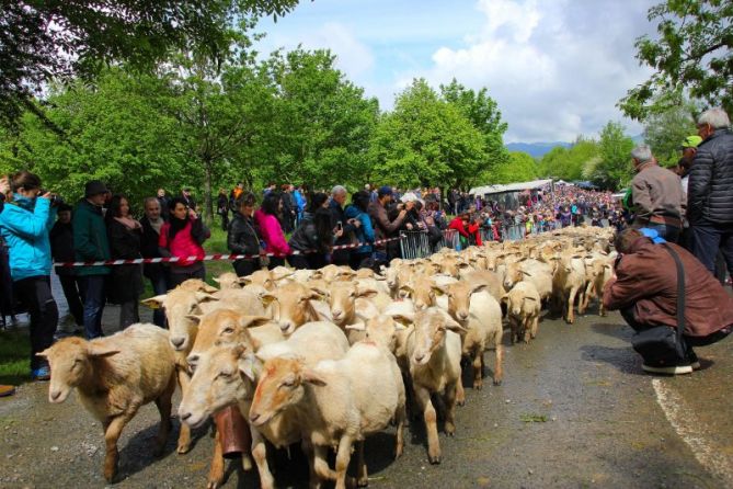 Pasillo a aralar: foto en Zaldibia