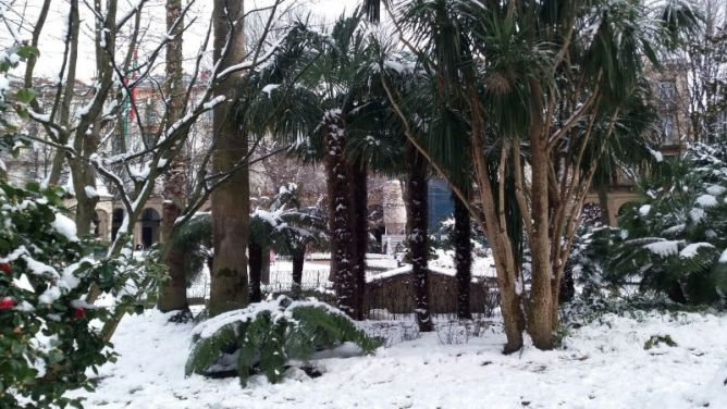 Plaza de Guipúzcoa nevado: foto en Donostia-San Sebastián