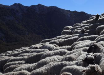Ze polita zaren Euskadi