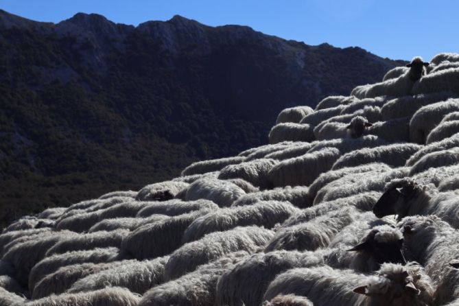 Ze polita zaren Euskadi: foto en Oñati