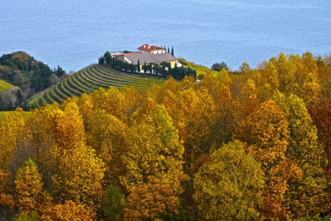 Postal de Otoño : foto en Getaria