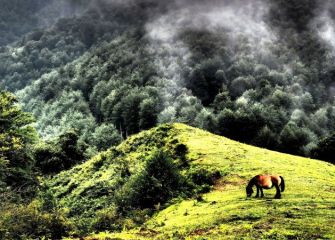 Praderas del Alto de Otxaurte