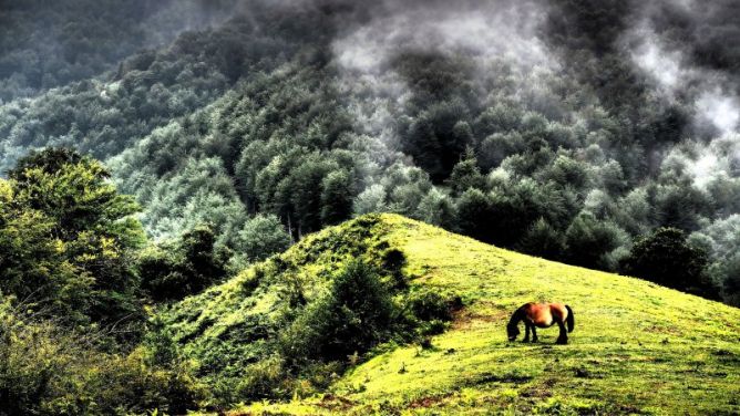 Praderas del Alto de Otxaurte: foto en Zegama