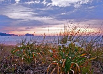Primavera en Zarautz 