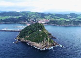 El ratón de frente.