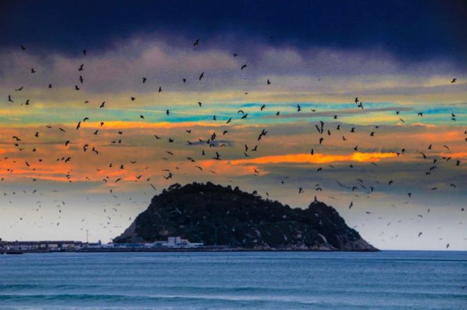 Ratón de Getaria  : foto en Zarautz