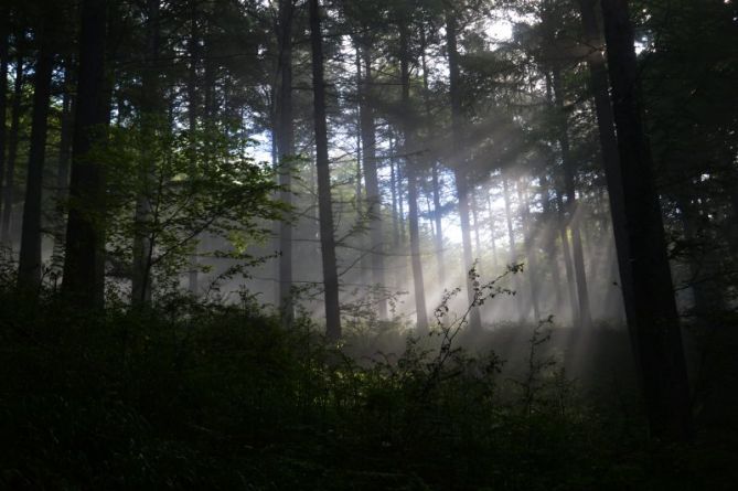 rayos de sol: foto en Oñati