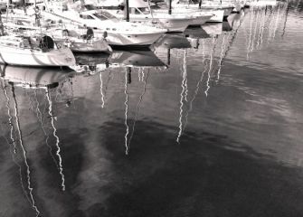 Reflejos del puerto de Hondarribia