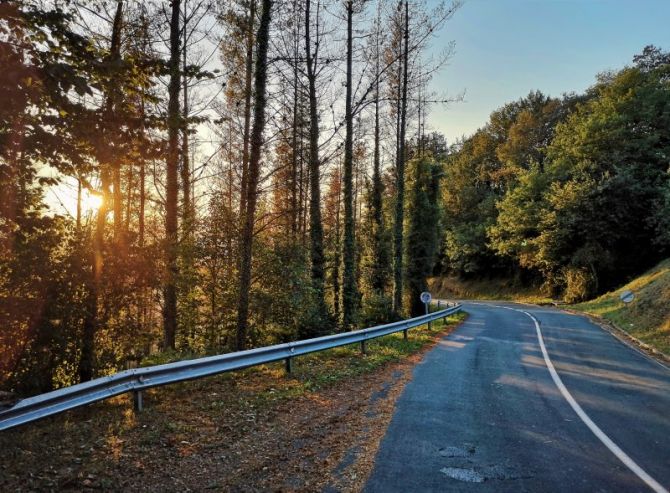 Ruta al sol.: foto en Azpeitia