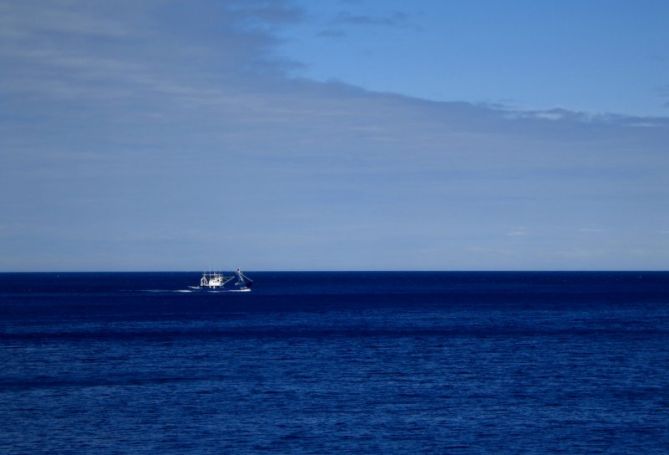 Saliendo a la mar: foto en Getaria