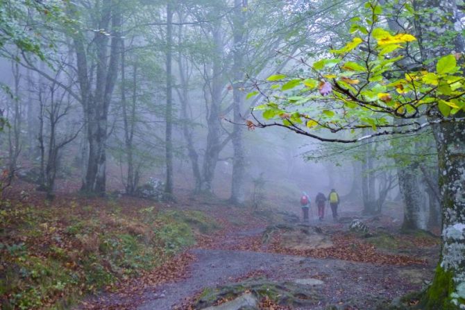 Senderismo entre la niebla : foto en Oñati