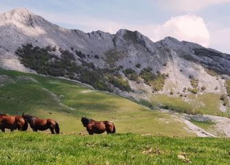 Sierra de Aizkorri, desde Urbia