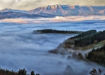 SOBRE LA NIEBLA