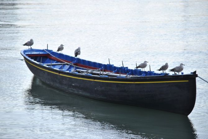 TALDE BERRI BAT?: foto en Pasaia