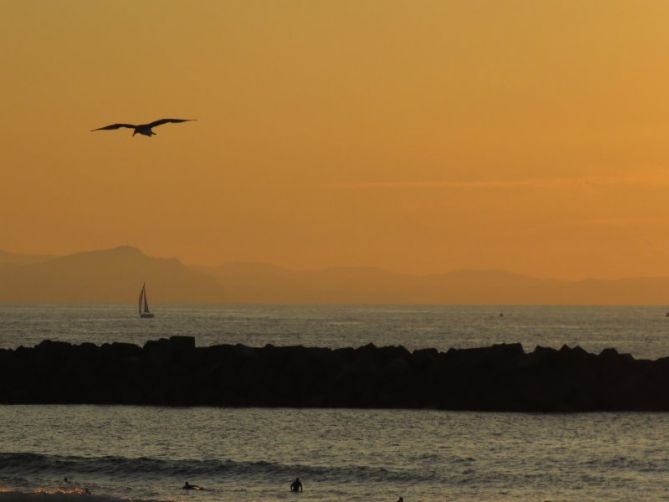 Tardes de película: foto en Donostia-San Sebastián