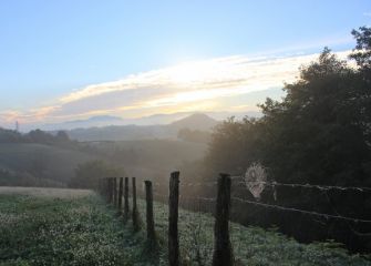 Telaraña en soporte