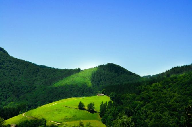 Tranquilidad: foto en Albiztur