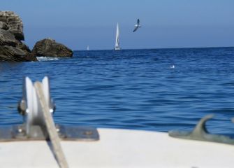 Tranquilidad en la bahía