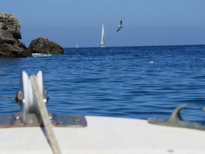 Tranquilidad en la bahía: foto en Donostia-San Sebastián