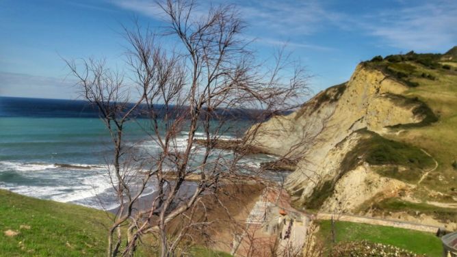 Tras las ramas: foto en Zumaia