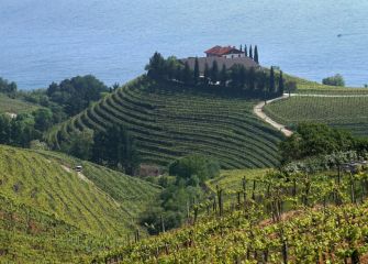 Txakolí de Getaria