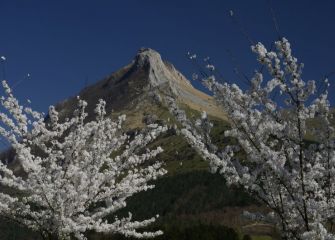 TXINDOKI EN PRIMAVERA