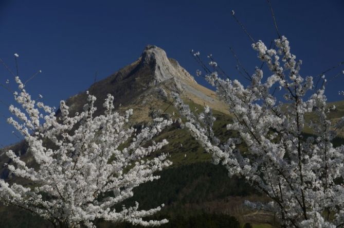 TXINDOKI EN PRIMAVERA: foto en Zaldibia