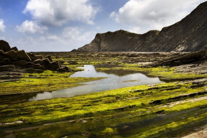 Udaberri berdea: foto en Deba