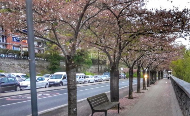 Udaberria: foto en Tolosa