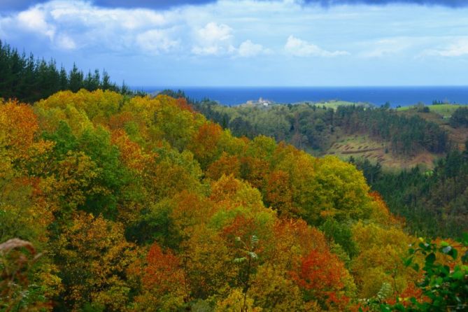 Udazken koloretan-1: foto en Aizarnazabal