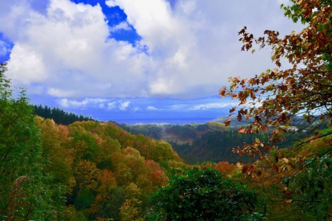 Udazken koloretan : foto en Aizarnazabal