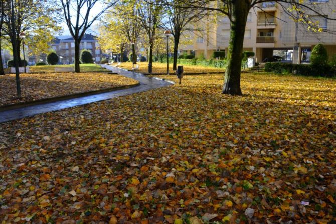 Udazken koloretan : foto en Zarautz