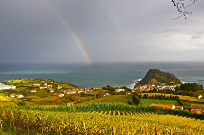 Udazken koloretan Getaian : foto en Getaria