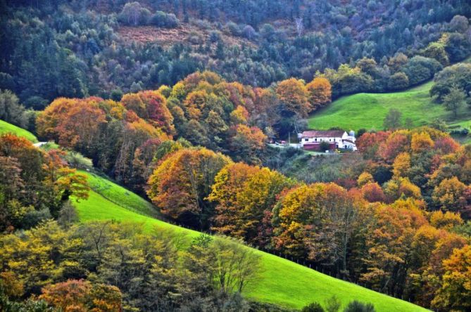 Udazkena: foto en Aizarnazabal