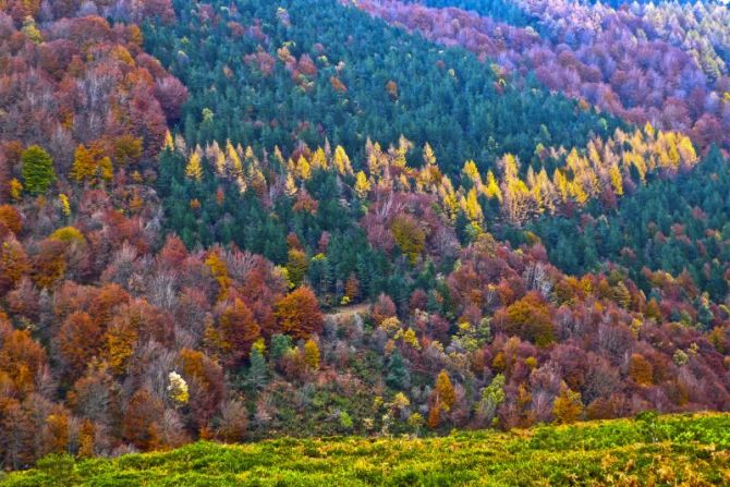 Udazkena Euskal herrian: foto en Aizarnazabal