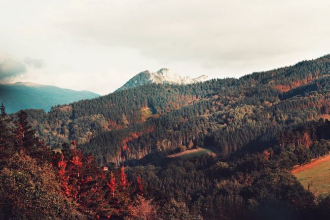 Udazkenaren amaiera: foto en Olaberria