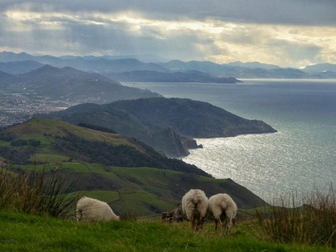 Verde y mar.: foto en Pasaia