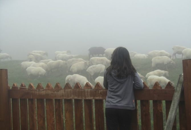 Viendo más allá de la niebla: foto en Abaltzisketa