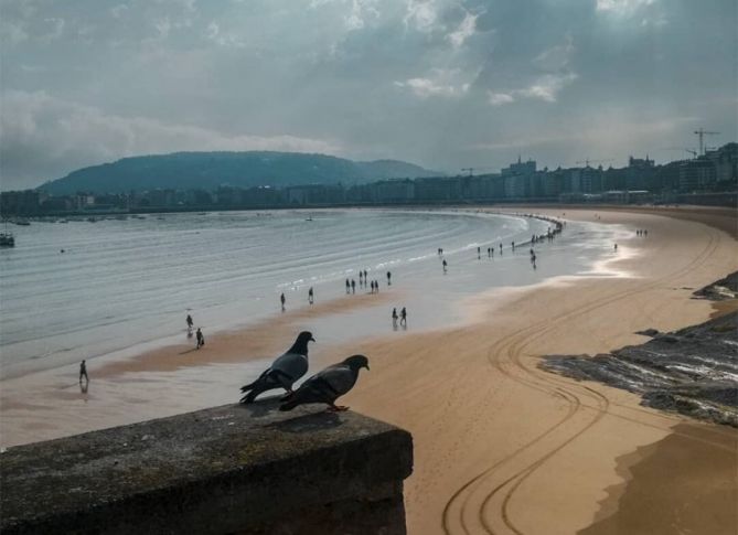 Vigilando la bahía: foto en Donostia-San Sebastián