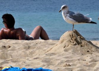 La vigilante de la playa.