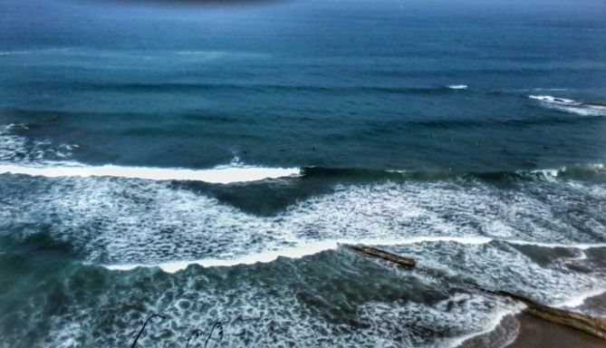 viven en el mar: foto en Zumaia