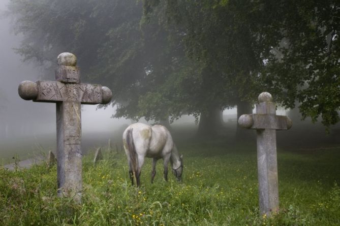 Zaldia: foto en Bergara