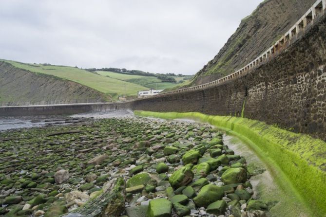 ZIABOGA BERDEA: foto en Zumaia