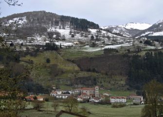 Zuria eta berdea - Blanco y verde