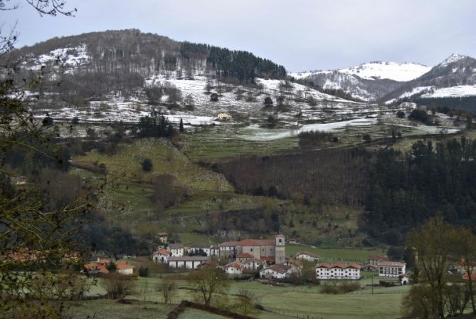 Zuria eta berdea - Blanco y verde: foto en Albiztur