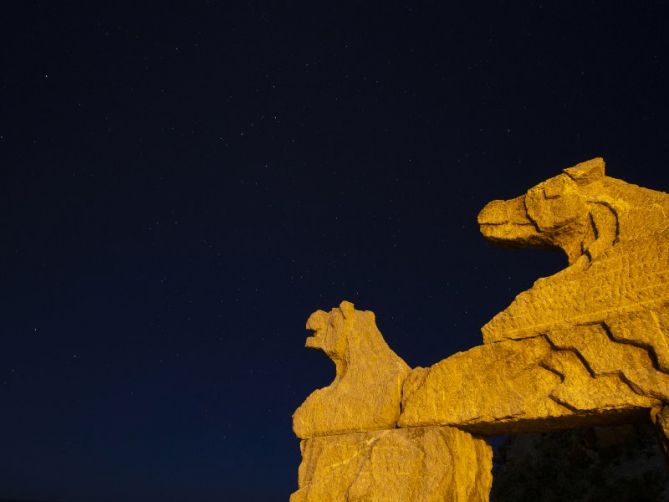 Caballos en la Playa de Itzurun: foto en Zumaia