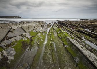 Flysch 
