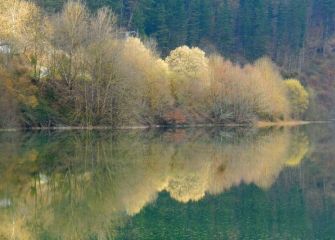 Pantano de  de arriaran