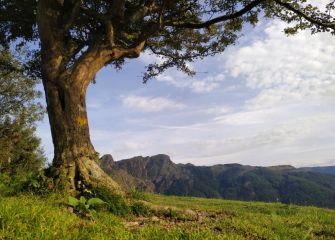 Resguardando las peñas